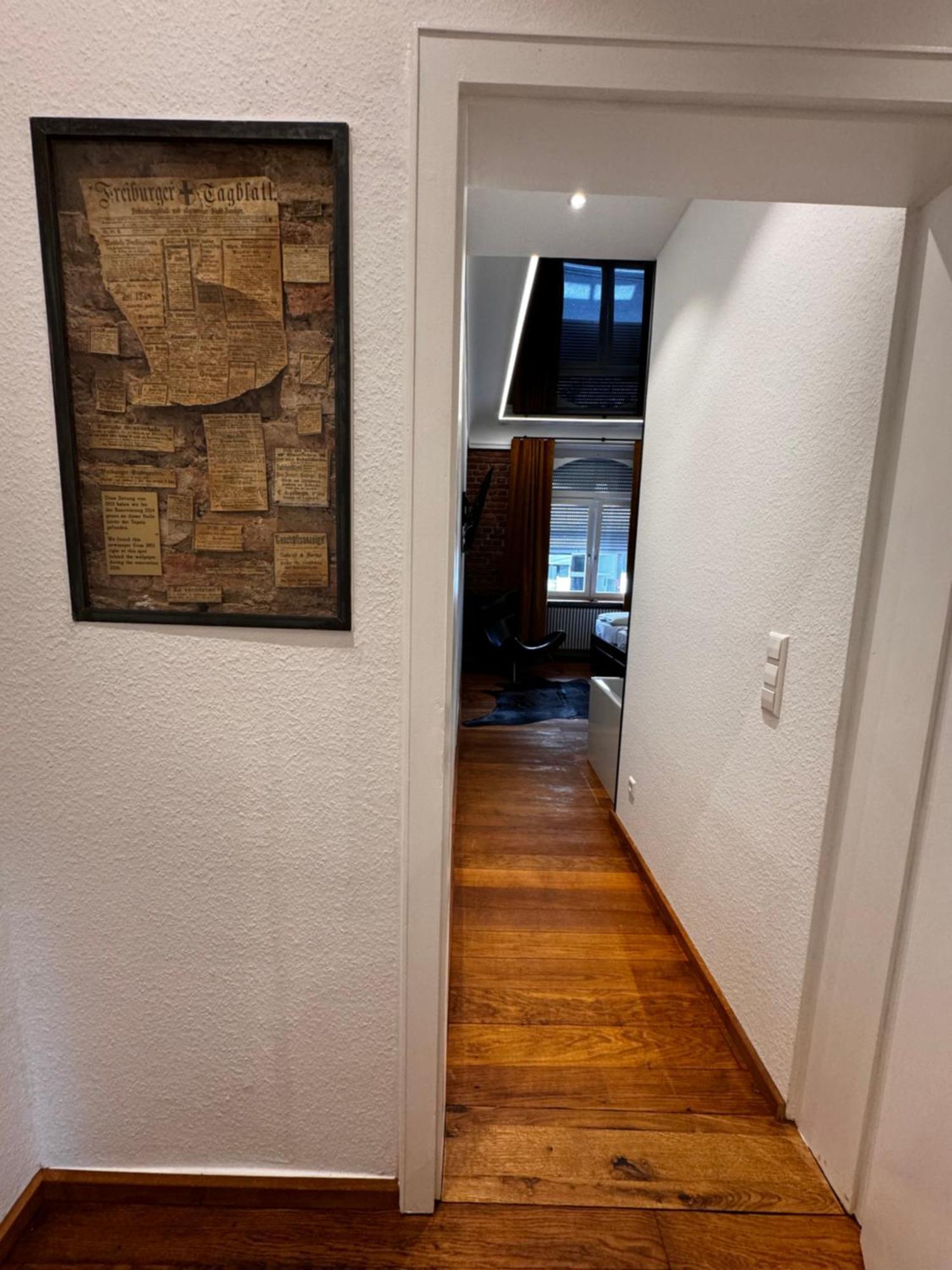 Historical Luxury Homes - Luxus Loft Wallstreet Freiburg im Breisgau Luaran gambar